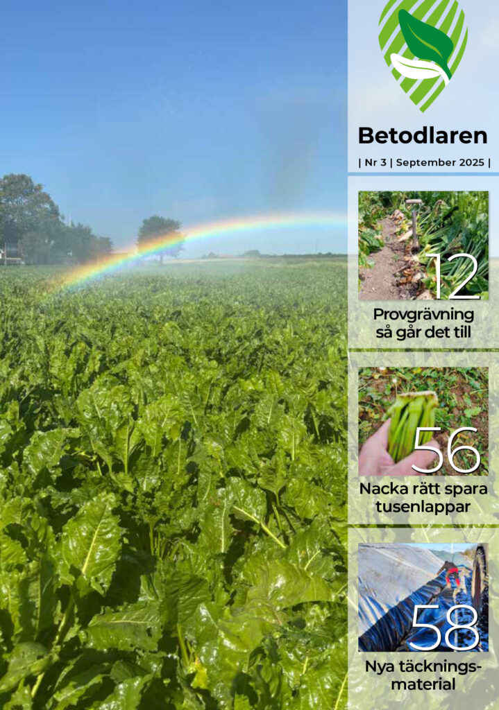 Betis nr 3 2025 ettan