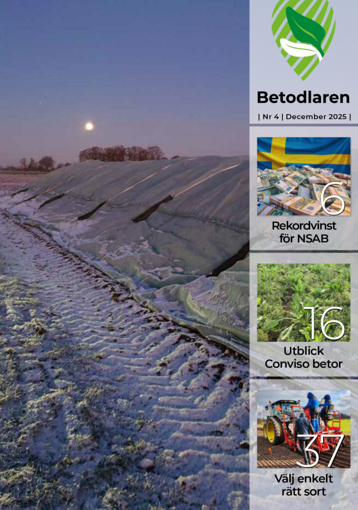 Betis nr 4 2025 ettan