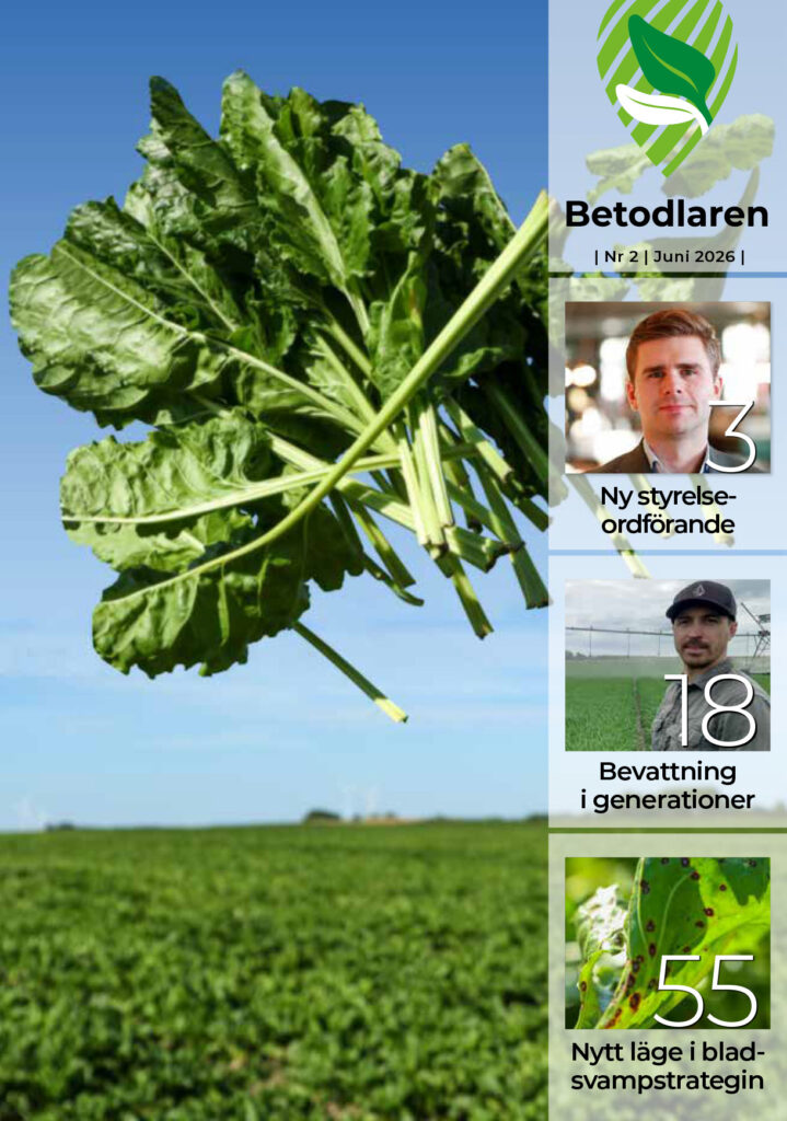 Läs tidskriften Betis nr 2 2026 Ettan