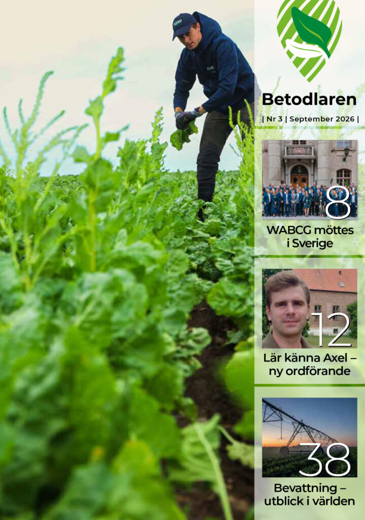 Läs tidskriften Betis nr 3 2026 Ettan